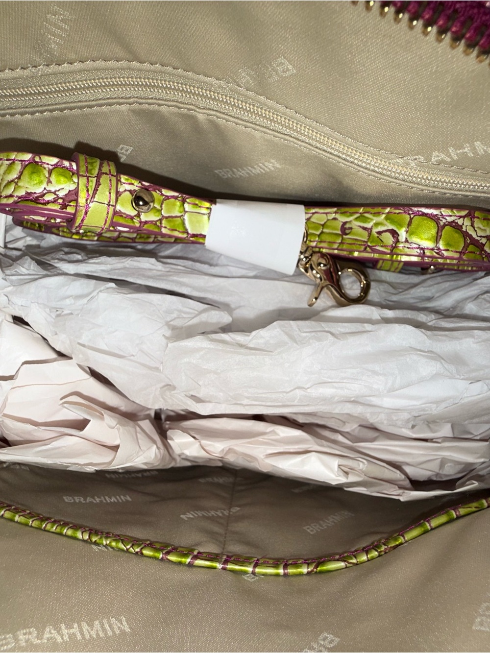 NWT Brahmin Large Duxbury Limeade Ombre - Picture 5 of 5